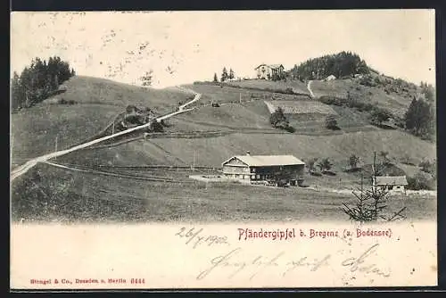 AK Bregenz, Pfändergipfel, Panorama, Um 1900