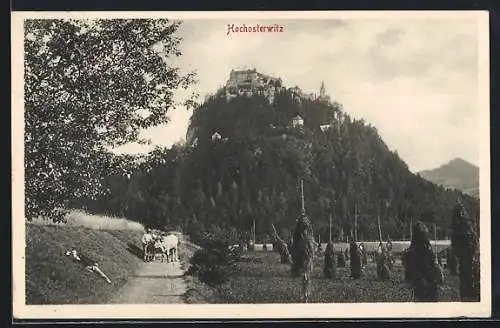 AK Hochosterwitz, Panorama mit Burg