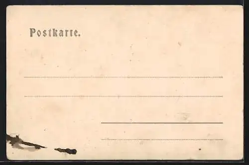 AK Friesach i. Kärnten, Teilansicht mit Petersberg