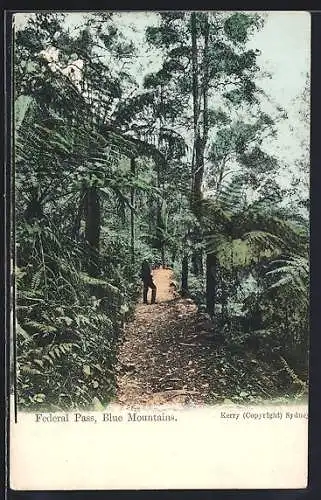 AK Federal Pass /Blue Mountains, Ortspartie