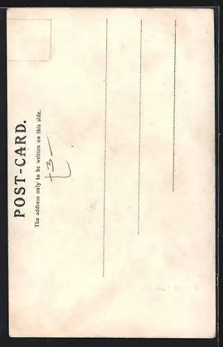 AK Federal Pass /Blue Mountains, Ortspartie