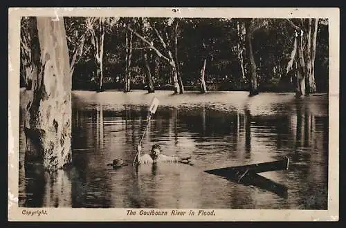 AK Goulbourn River, The Goulbourn River in Flood
