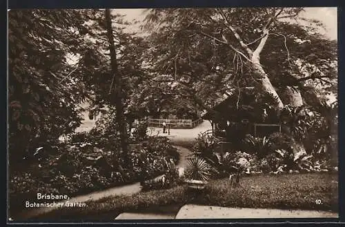 AK Brisbane, Botanischer Garten