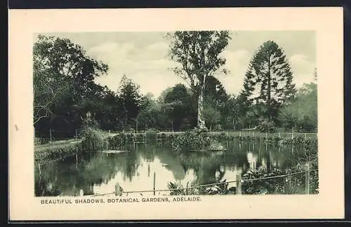 AK Adelaide, Botanical Gardens, Beautiful Shadows