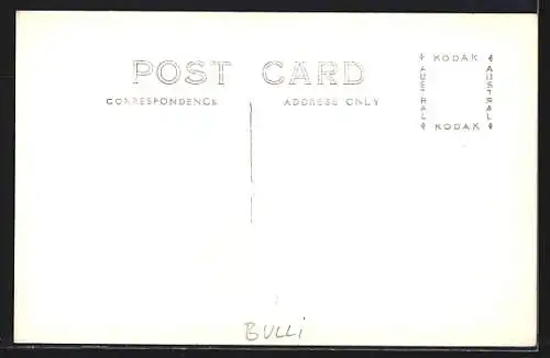 AK Bulli, Looking up the Bulli Pass, showing Sublime Point