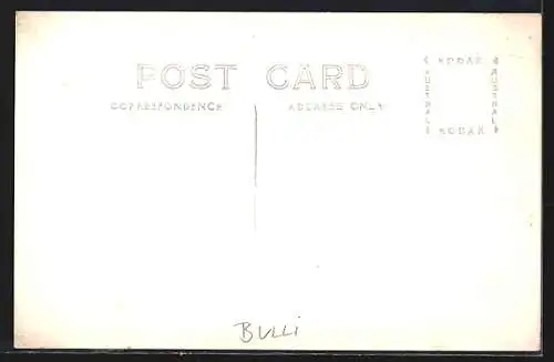 AK Bulli, View over South Coast Towns from Sublime Point