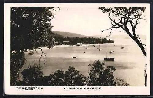 AK Palm Beach /N. S. W., A Glimpse of Palm Beach