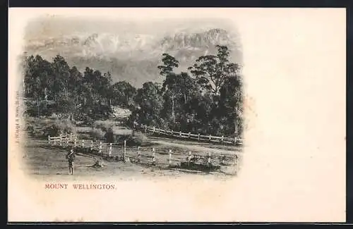 AK Mont Wellington, General View