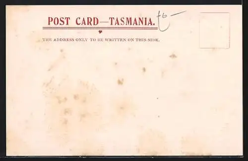 AK Mont Wellington, General View