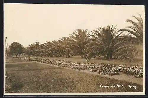 AK Sydney, Centenial Park