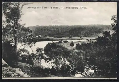 AK Hawkesbury River, Among the Ferns