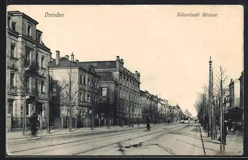 AK Dresden-Striesen, Strassenbahnen in der Schandauer Strasse