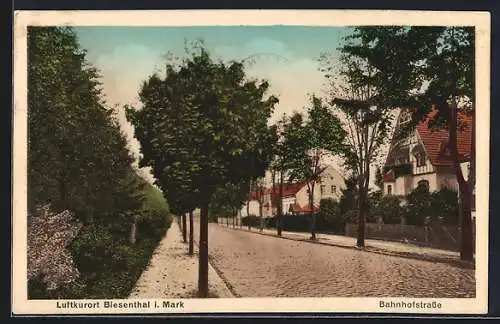 AK Biesenthal i. Mark, Blick in die Bahnhofstrasse
