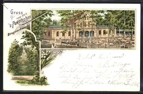 Lithographie Braunschweig, Etablissement v. Pawelschen Holze