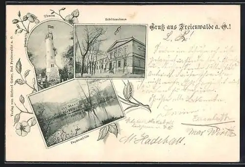 AK Freienwalde a. O., Gasthaus Schützenhaus, Papenmühle und Turm