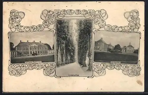 AK Klütz, Schloss Bothmer, Lindenallee und Seitenbau