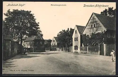 AK Dresden-Altstriesen, Partie in der Merseburgerstrasse
