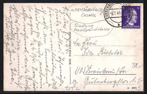 AK Neusörnewitz /Cowsig, Siedlung in der Hanfgrundstrasse