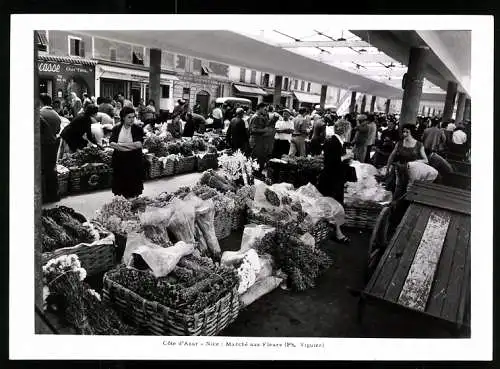 Fotografie Viguier, Ansicht Nice, Marché aux Fleurs, Blumenmarkt