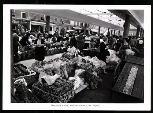 Fotografie Viguier, Ansicht Nizza, Blumenmarkt in der Stadt, Marché aux Fleurs