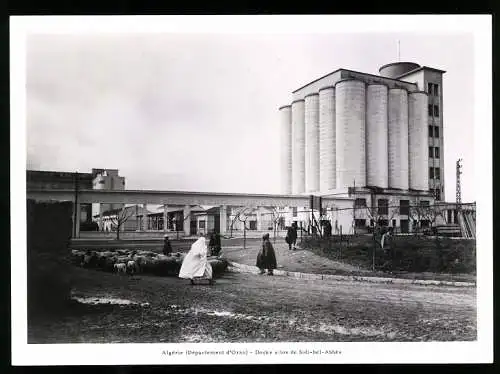 Fotografie unbekannter Fotograf, Ansicht Sidi-bel-Abbes, Docks silos de Associations Mutuelles Agricoles