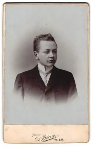 Fotografie Sigmund Bing, Wien, Goldschmidgasse 4, Porträt eines jungen Mannes