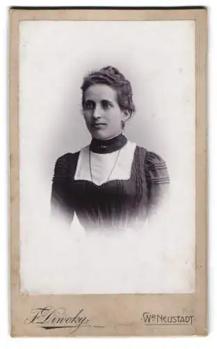 Fotografie Franz Diwoky, Wr. Neustadt, Broditschgasse 21, Porträt einer Dame