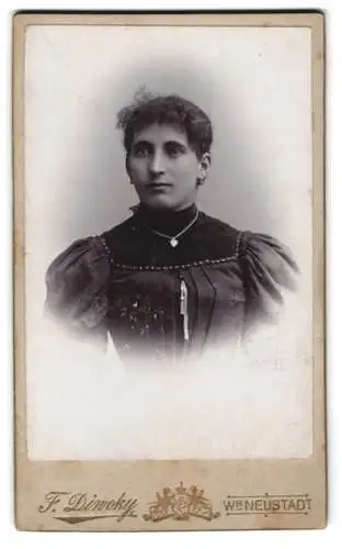 Fotografie Franz Diwoky, Wr Neustadt, Brodischgasse 21, Porträt einer Frau mit Halskette