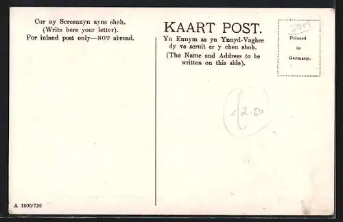 AK Douglas, View on Drive with Power Station and Gates in Distance