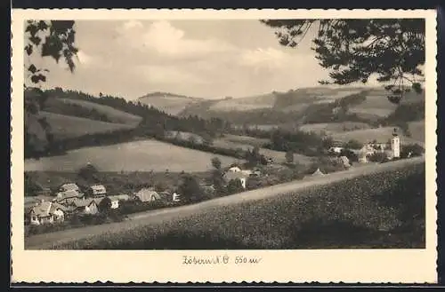 AK Zöbern /N. Ö., Gesamtansicht mit Feldern