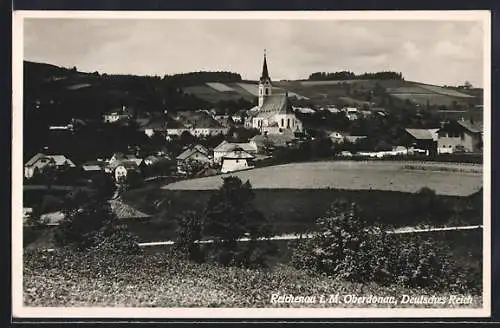 AK Reichenau i. M., Ortsansicht mit Kirche von weitem