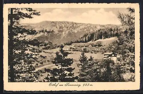AK Orthof am Semmering, Ortsansicht mit Landstrasse u. Umgebung