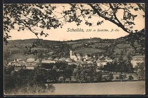 AK Scheibbs /N. Ö., Gesamtansicht mit Bergpanorama