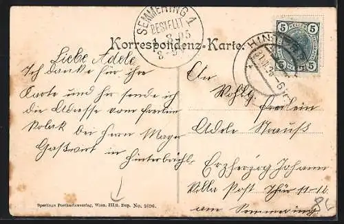 AK Hinterbrühl, Blick über die Dächer der Ortschaft