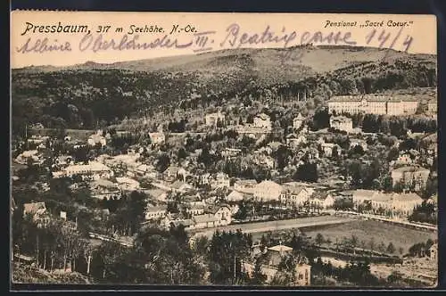 AK Pressbaum /N.-Oe., Blick über den Ort mit Wald