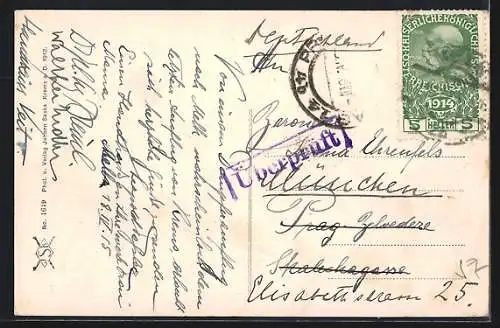 AK Melk an der Donau, Donaupartie mit Dampfer