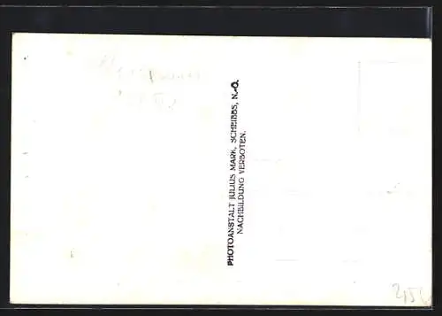 AK Neustift bei Scheibbs, Pension Egerländer umgeben von Bäumen