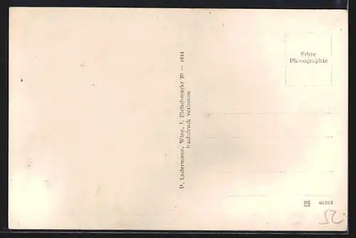 AK Vorderbrühl bei Mödling, Ortsansicht mit Berglandschaft