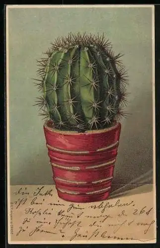 Lithographie Kaktus in einem roten Topf