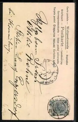 Lithographie Kaktus in einem roten Topf