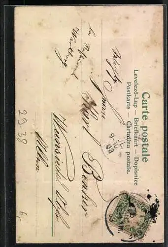 Foto-Collage-AK Porträt einer Frau in elegantem Kleid