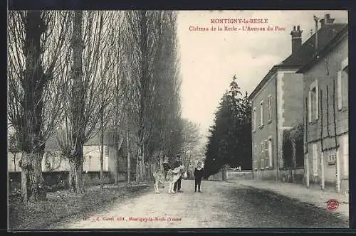 AK Montigny-la-Resle, Château de la Resle, L`Avenue du Parc