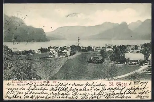 AK St. Gilgen, Panorama mit Strassenpartie