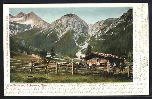 AK Pertisau am Achensee, Gernalpe mit Kühen