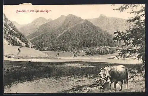 AK Brenner, Brennersee, Kühe am See mit Bergen