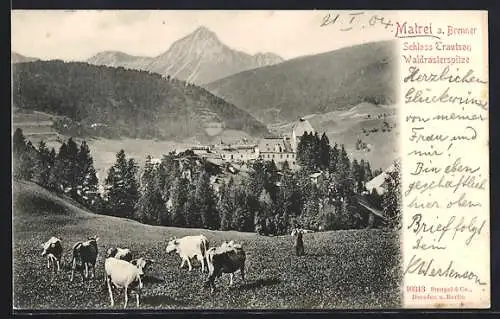 AK Matrei am Brenner, Schloss Trautson und Waldrasterpitze