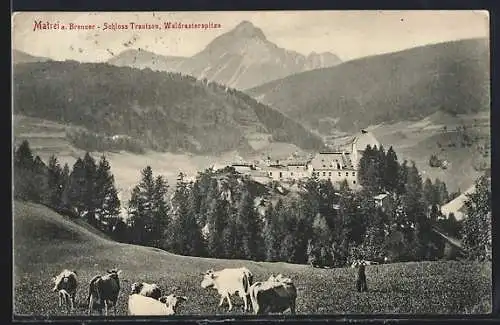 AK Matrei, Schloss Trautson mit Waldrasterspitze