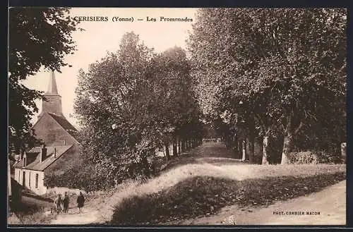 AK Cerisiers /Yonne, Les Promenades