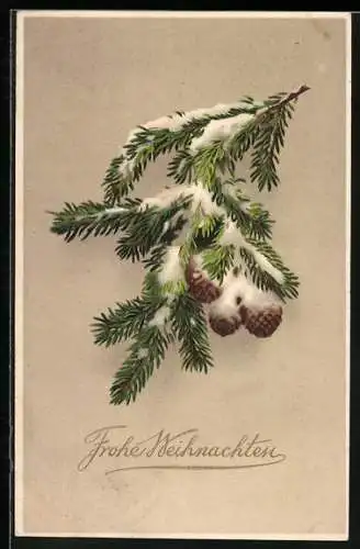 AK Tannenzweig im Schnee, Frohe Weihnachten