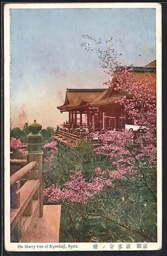 AK Kyoto, The Cherry Tree of Kiyomizuji